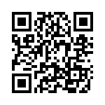 2907060 QRCode