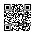 2907511 QRCode