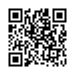 2907628 QRCode