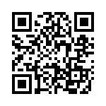 293313-1 QRCode