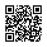 3-1393048-1 QRCode