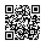 3-1609115-3 QRCode