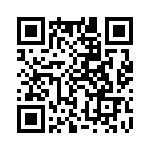 3-2176073-4 QRCode