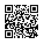 3-641313-3 QRCode