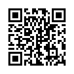 30-017-A-03 QRCode