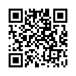 300100240105 QRCode