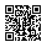 300100630004 QRCode