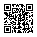 300101060040 QRCode