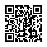 300400140005 QRCode