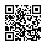 300400280068 QRCode