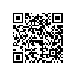 3009W4PAR99E20X QRCode