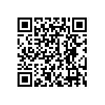 300DP1J5BLKVS4QE QRCode