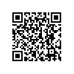 300DP3J1BLKVS5QE QRCode