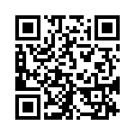 300X11099X QRCode