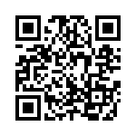 300X11139X QRCode