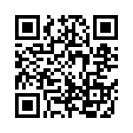 301S42E151GV4E QRCode