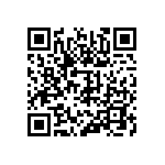 310-13-135-41-001000 QRCode