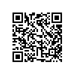 310-13-161-41-001000 QRCode