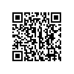 316-87-132-41-013101 QRCode