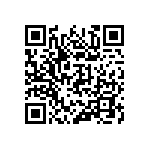 316-87-145-41-013101 QRCode