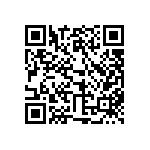 317-87-105-41-022101 QRCode