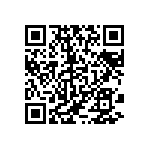 317-87-106-41-022101 QRCode