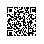 317-87-125-41-022101 QRCode