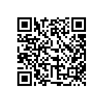 317-87-131-41-005101 QRCode