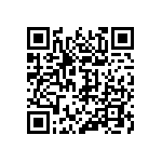 317-87-136-41-022101 QRCode