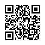 33-10 QRCode