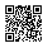 334C1004102 QRCode