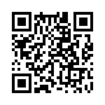 353LB3A384T QRCode