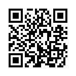 353NB3C081T QRCode