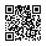 353NB3I163R QRCode