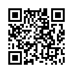 353NB3I307T QRCode