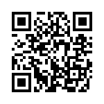 353NB3I343T QRCode