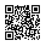 353NB5C384T QRCode