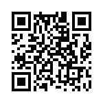 353NB5C491T QRCode