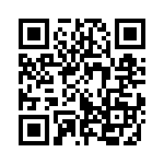 353SB3A480T QRCode