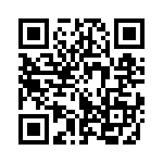 353TB3I384T QRCode