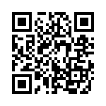 353TB6A491T QRCode