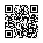 353VB3I081T QRCode