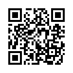 353VB3I655T QRCode