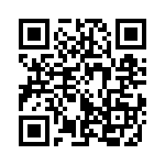 353VB5C343T QRCode