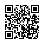 353VB5I081T QRCode