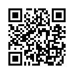 353VB6A491T QRCode