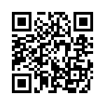 353WB3A163T QRCode