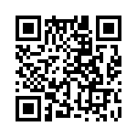 353WB3A307T QRCode