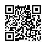 353WB3C384T QRCode