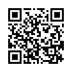 353WB3I081T QRCode